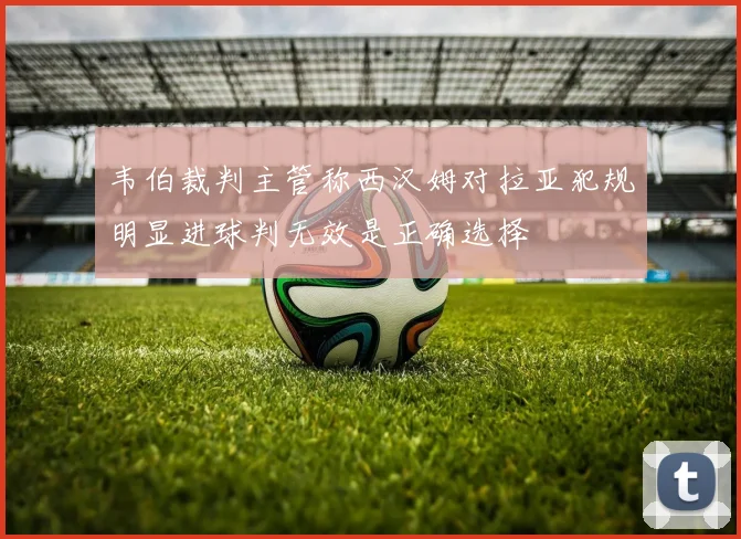 韦伯裁判主管称西汉姆对拉亚犯规明显进球判无效是正确选择